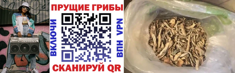 как найти закладки Чулым Галлюциногенные грибы MAGIC MUSHROOMS