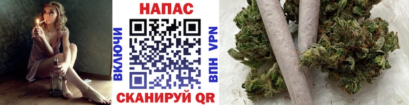 Конопля конопля  Чулым 